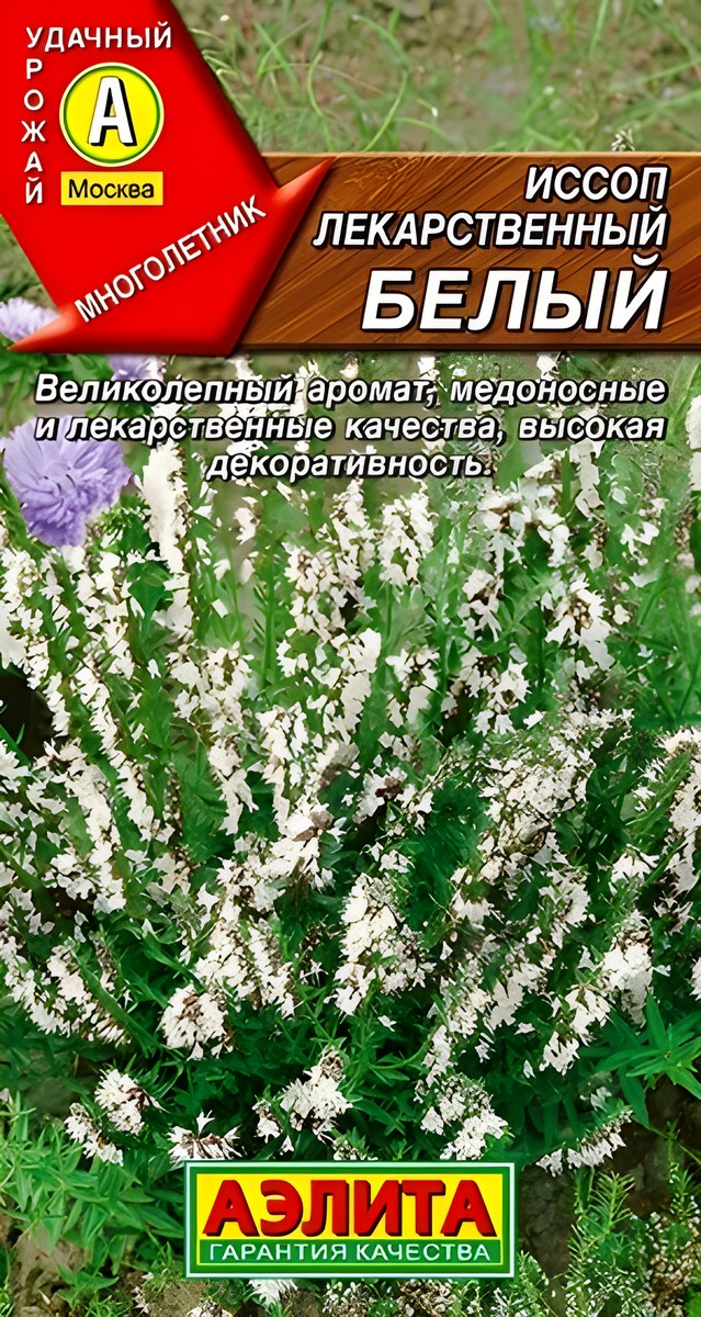 Иссоп лекарственный, белый, 0,1 г