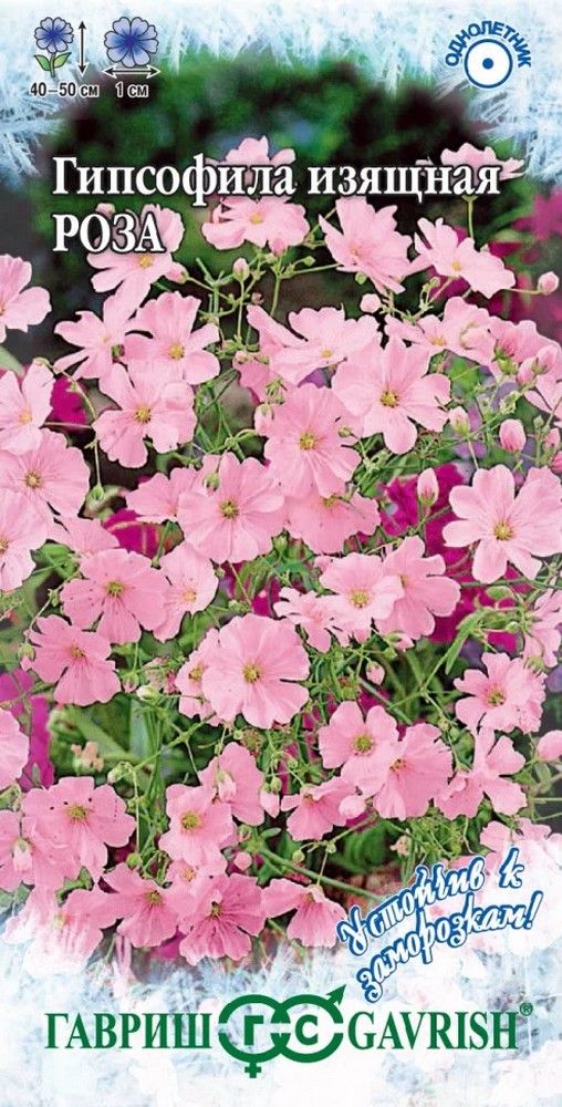 Гипсофила изящная, Роза, 0,1 г. Устойчив к заморозкам.