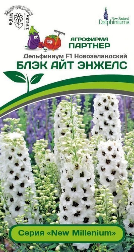 Дельфиниум Блэк Aйт Энжелс F1, 3 шт. New Millenium 