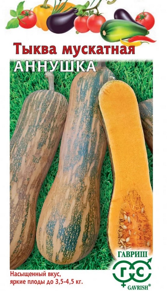 Тыква Аннушка, мускатная 1,0 г Н23