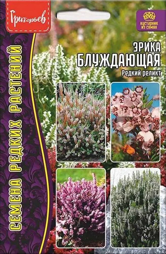 Эрика блуждающая (редкий реликт), 15 шт.