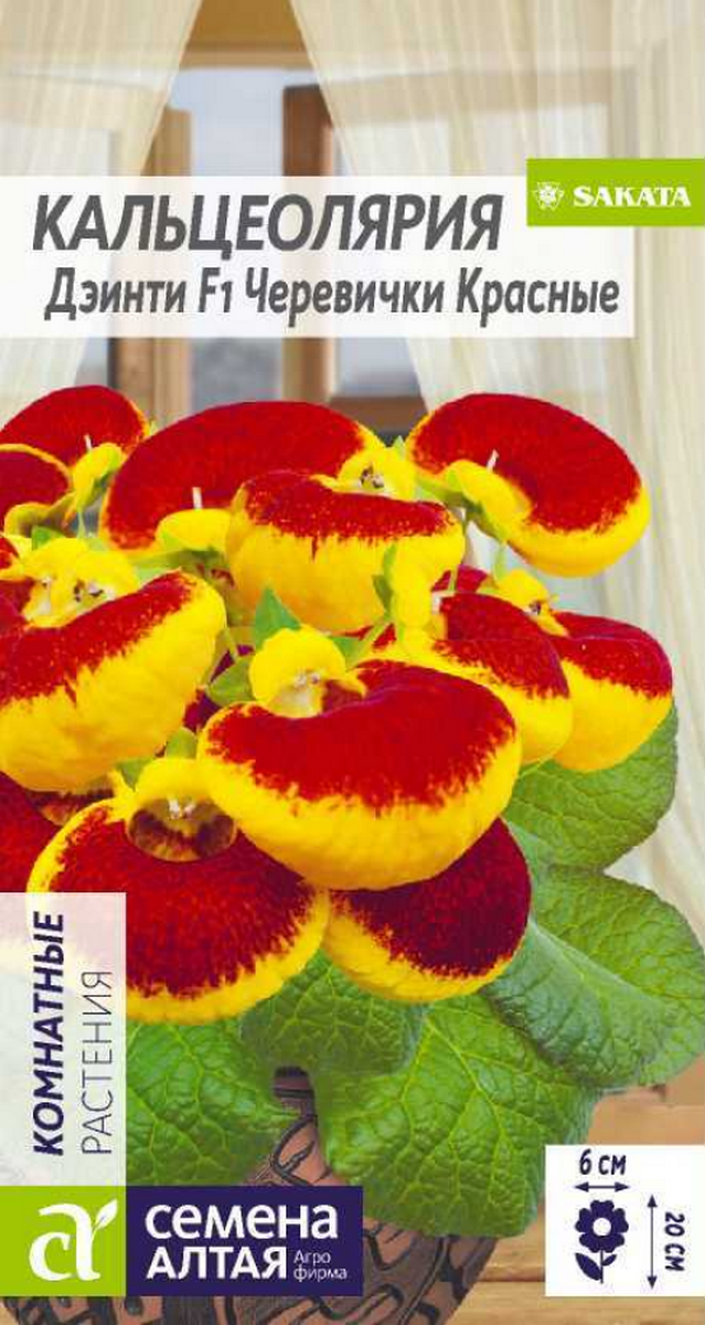 Кальцеолярия Дэинти Черевички красные, 5 шт.