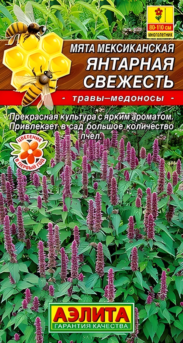 Мята мексиканская Янтарная свежесть, 0,05 г