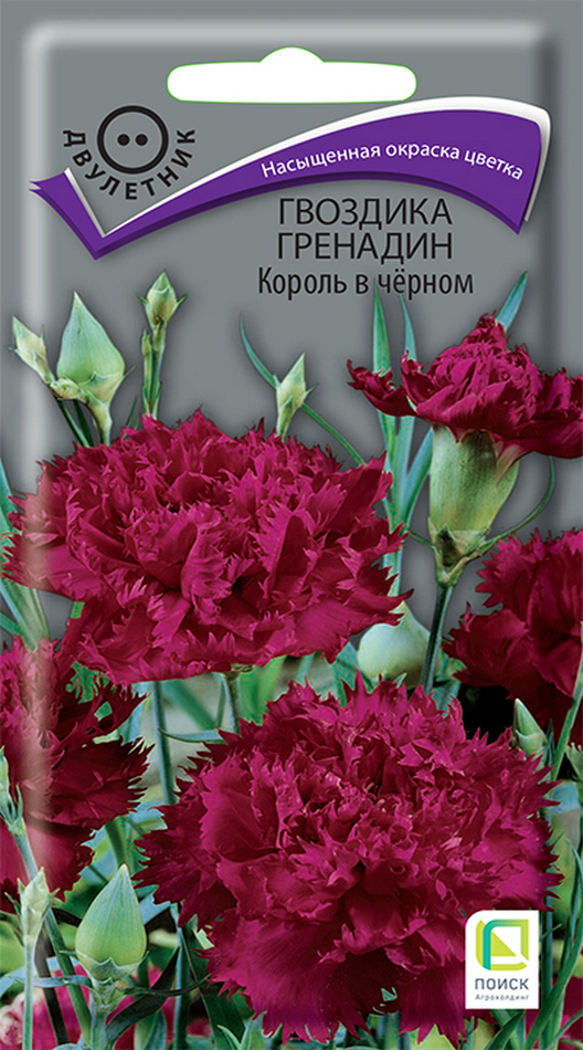 Гвоздика Гренадин Король в черном, 0,01 г
