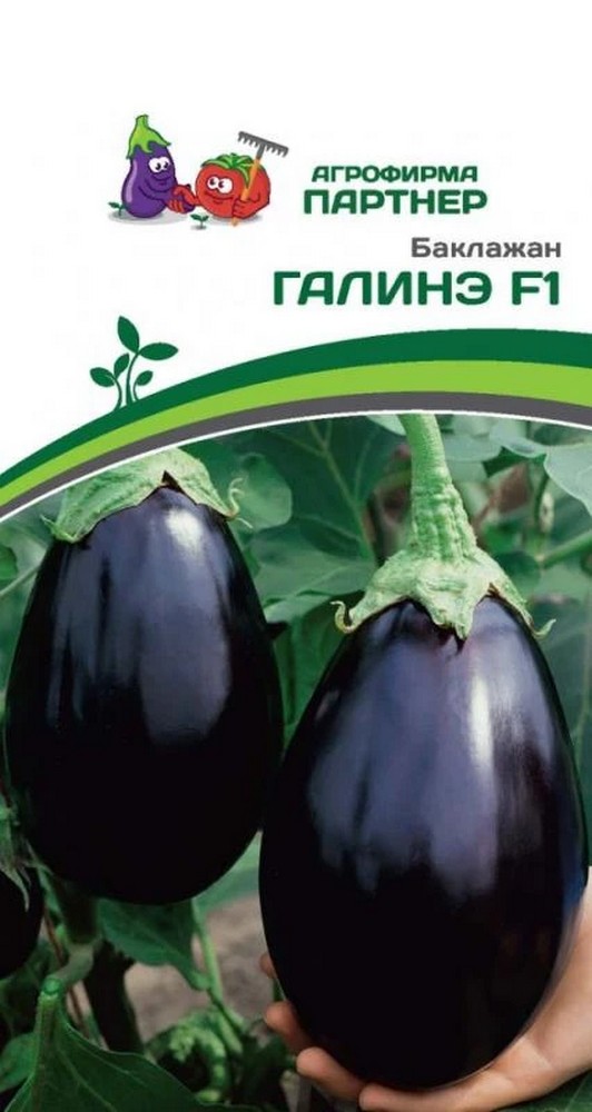 Баклажан Галинэ F1, 10 шт.