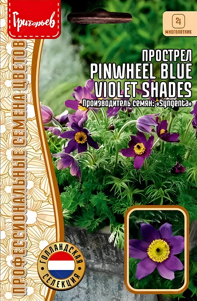 Прострел Pinwheel Blue Violet Shades (Вертушки сине-фиолетовый), 3 шт.
