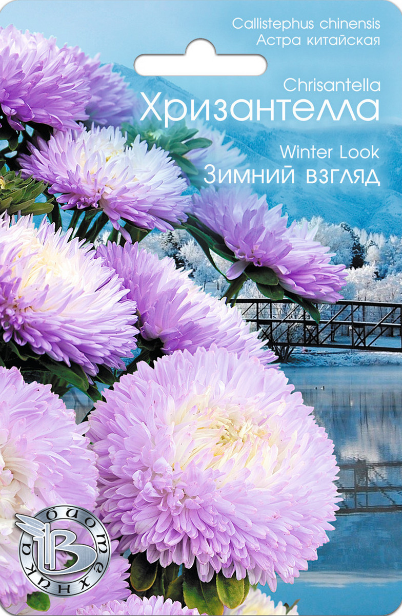 Астра китайская Хризантелла Зимний взгляд, 30 шт. Биотехника