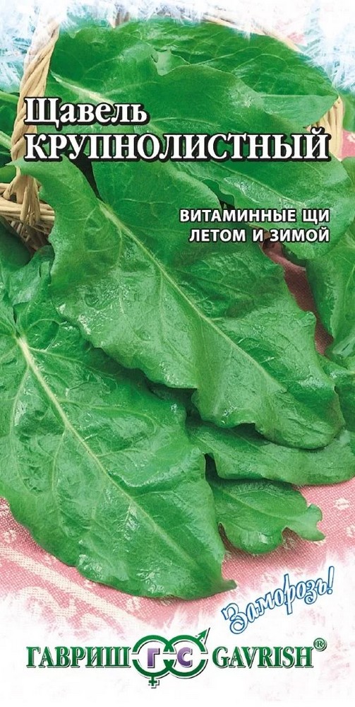 Щавель Крупнолистный, 0,5 г. Заморозь. 