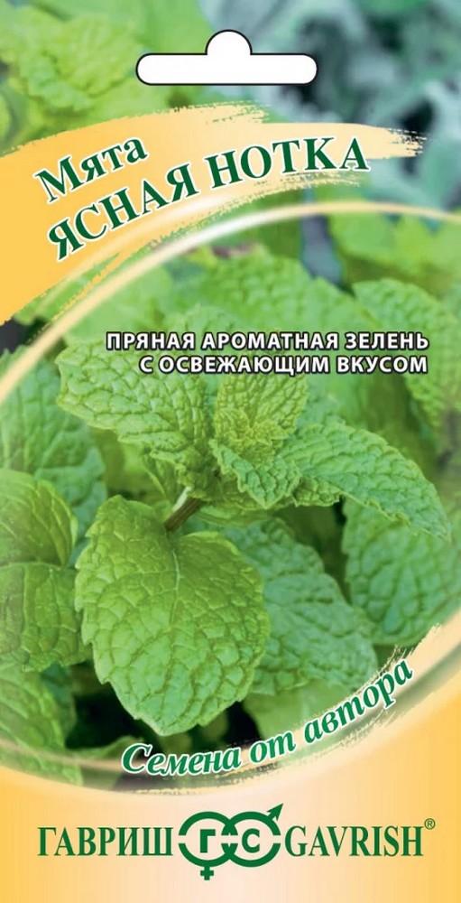 Мята садовая Ясная нотка, 0,05 г. Авторские семена.