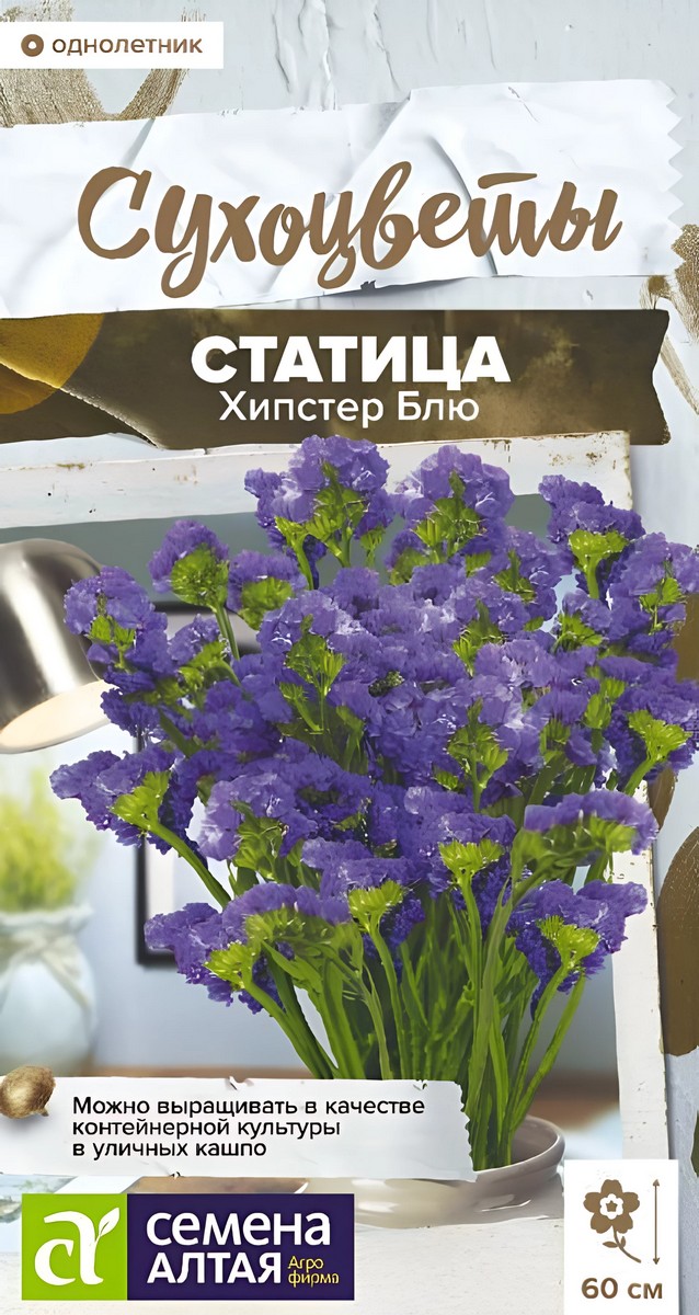 Статица Хипстер Блю, 5 шт. Сухоцветы.