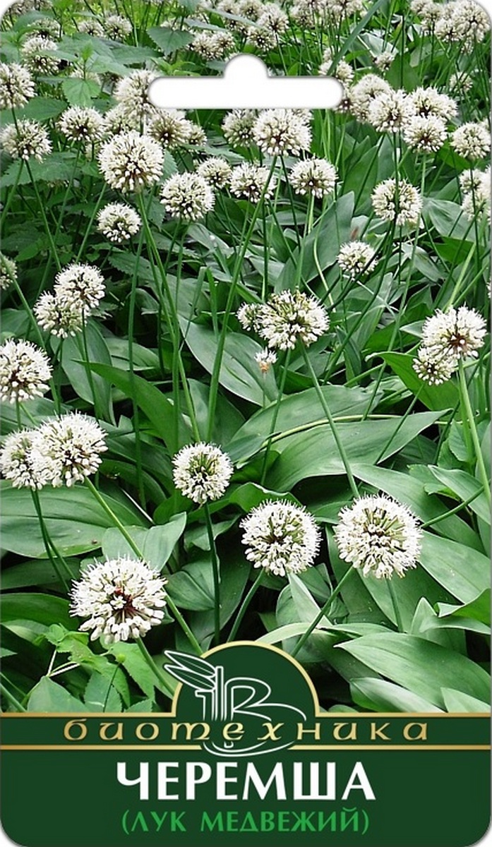 Лук Медвежий Черемша, 0,5 г. Биотехника.