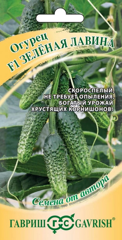 Огурец Зеленая лавина F1, 10 шт. Авторские семена.