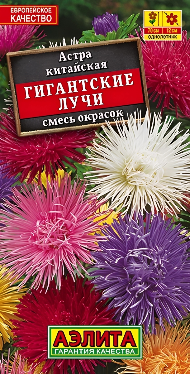 Астра Гигантские лучи смесь окрасок, 0,2 г