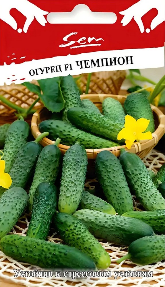 Огурец Чемпион F1, 10 шт. Русский огород