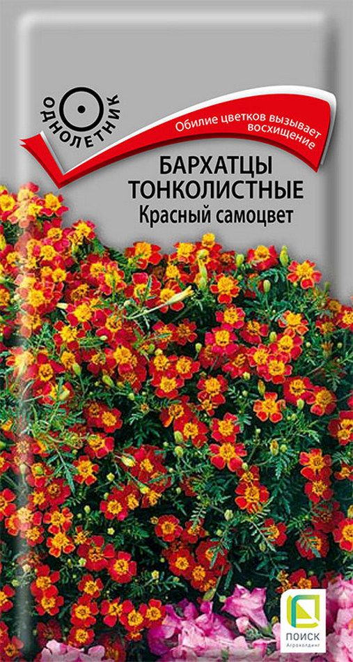 Бархатцы тонколистные Красный самоцвет, 0,1 г
