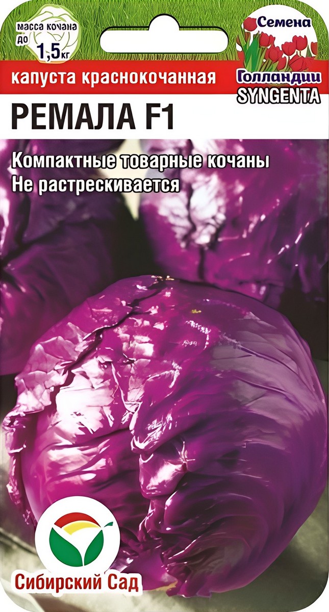 Капуста краснокочанная Ребол F1, 10 шт. Голландия. Сибирский сад.