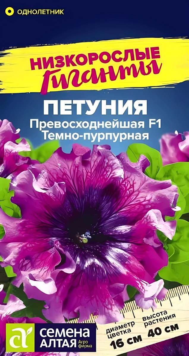 Петуния Превосходнейшая F1, Темно-пурпурная, 7 шт. Низкорослые гиганты.