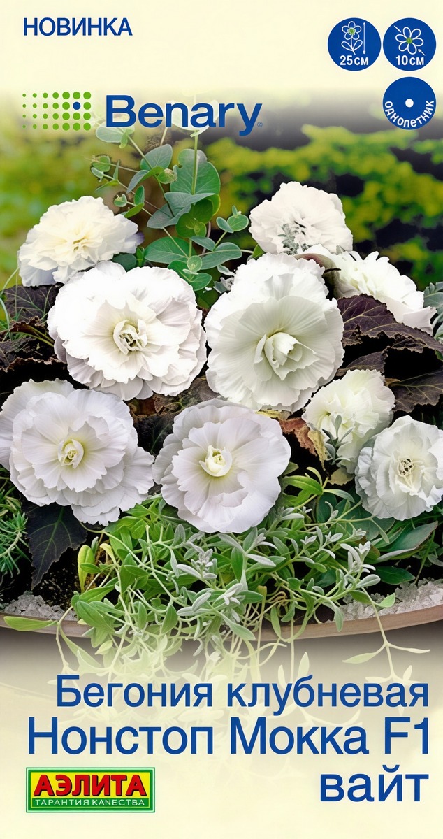 Бегония клубневая Нонстоп мокка F1 вайт, 5 шт.