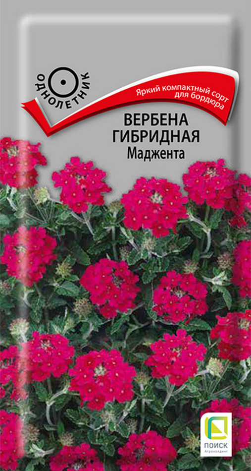 Вербена гибридная Маджента, 0,1 г