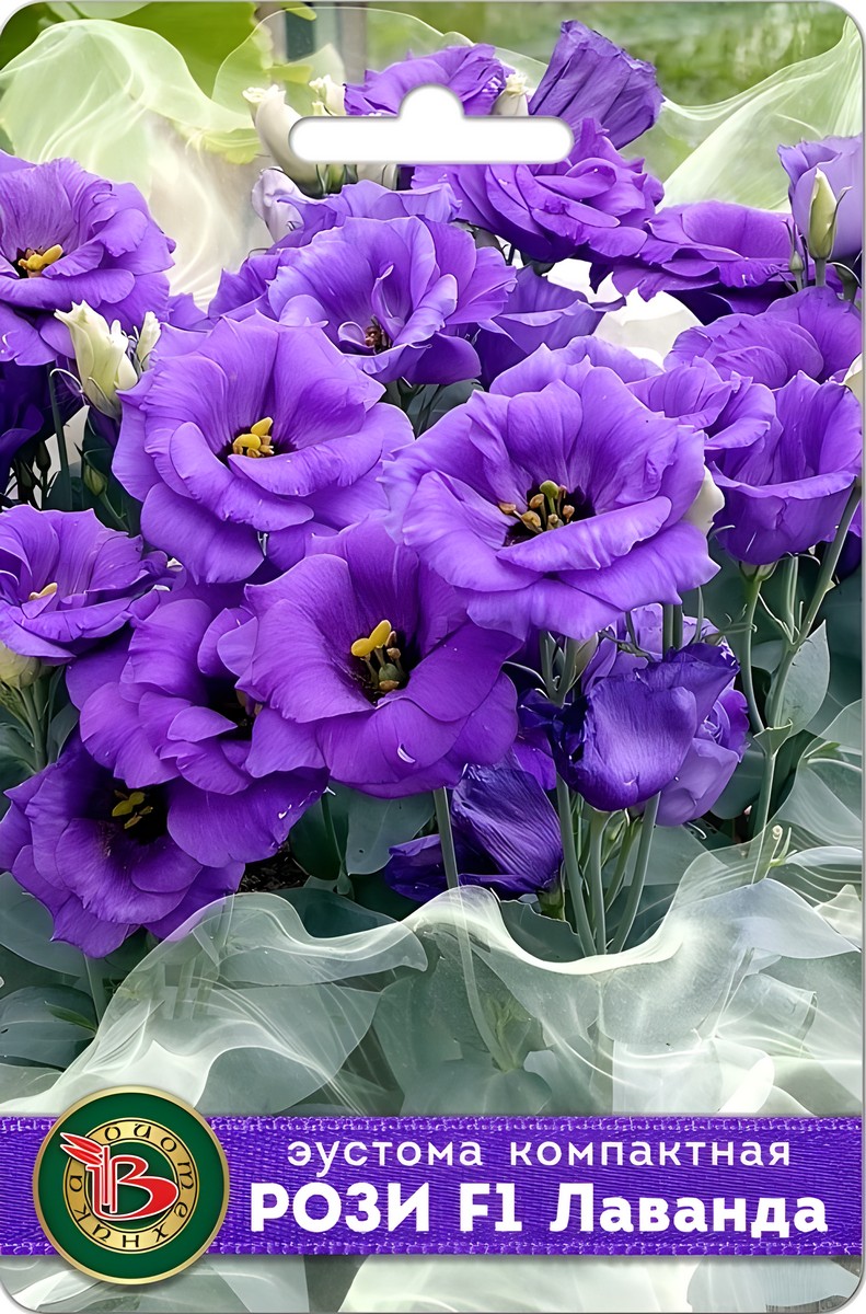 Эустома компактная махровая Рози F1 Лаванда, 5 шт.