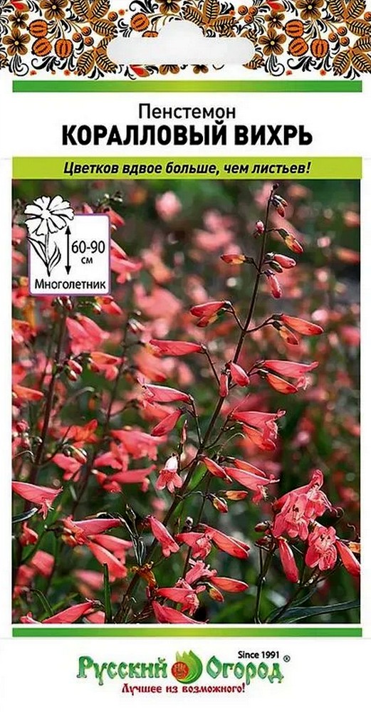 Пенстемон Коралловый вихрь, 5 шт. Русский огород