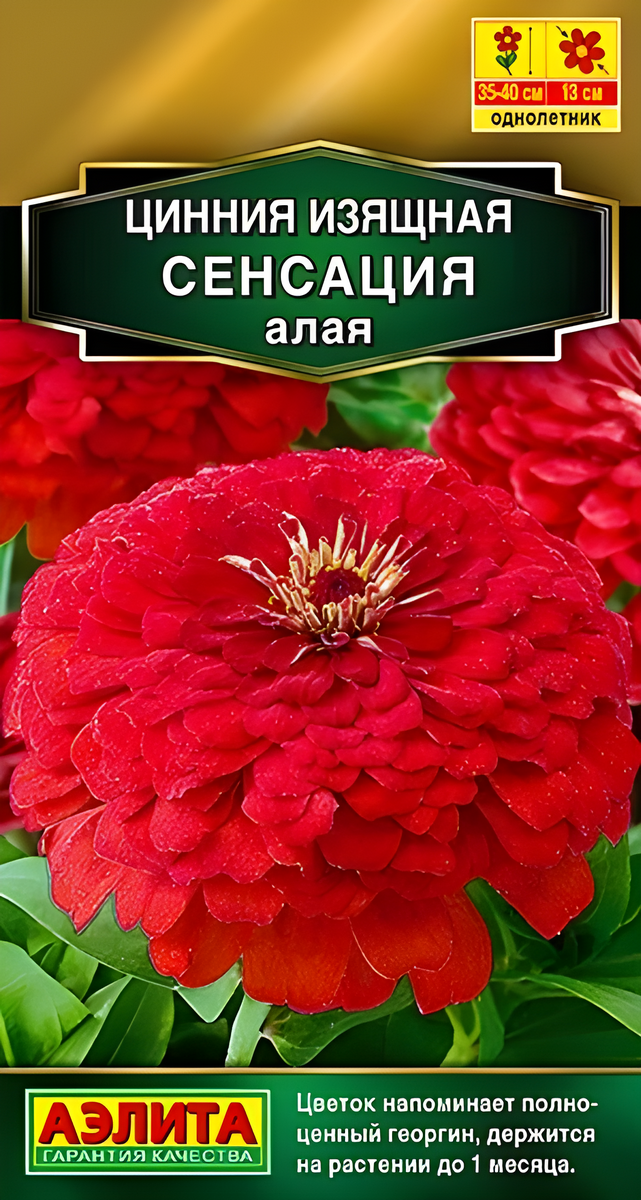 Цинния Сенсация алая, 12 шт.