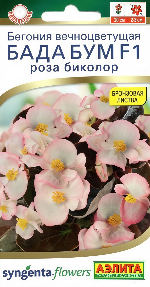 Бегония Бада бум F1 роза биколор, 5 шт.
