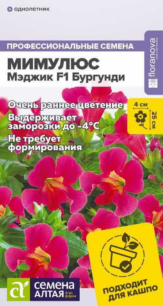 Мимулюс Мэджик Бургунди, 10 шт. 