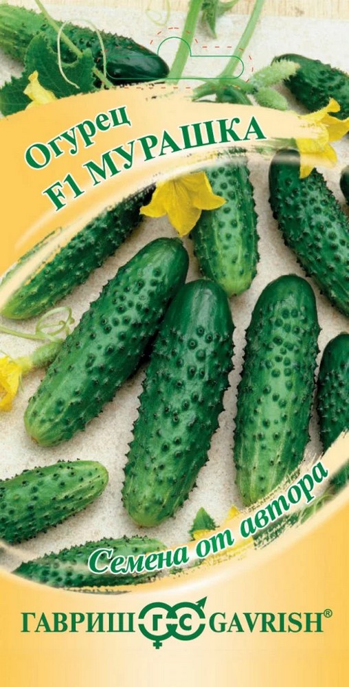 Огурец Мурашка F1, 10 шт. Авторские семена.