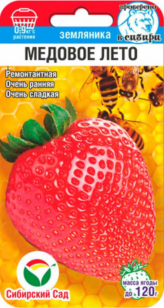 Клубника Медовое лето, 5 шт. Сибирский сад