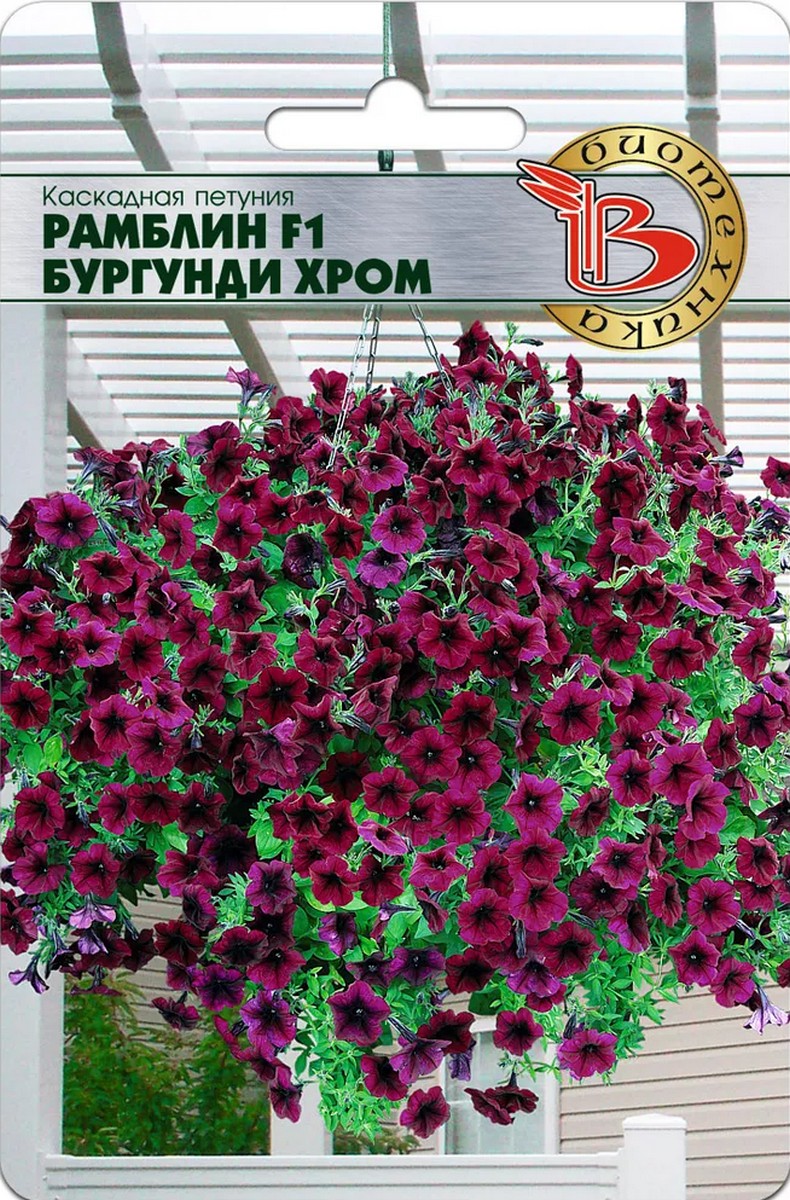Петуния каскадная Рамблин F1 Бургунди хром, 5 шт. Биотехника