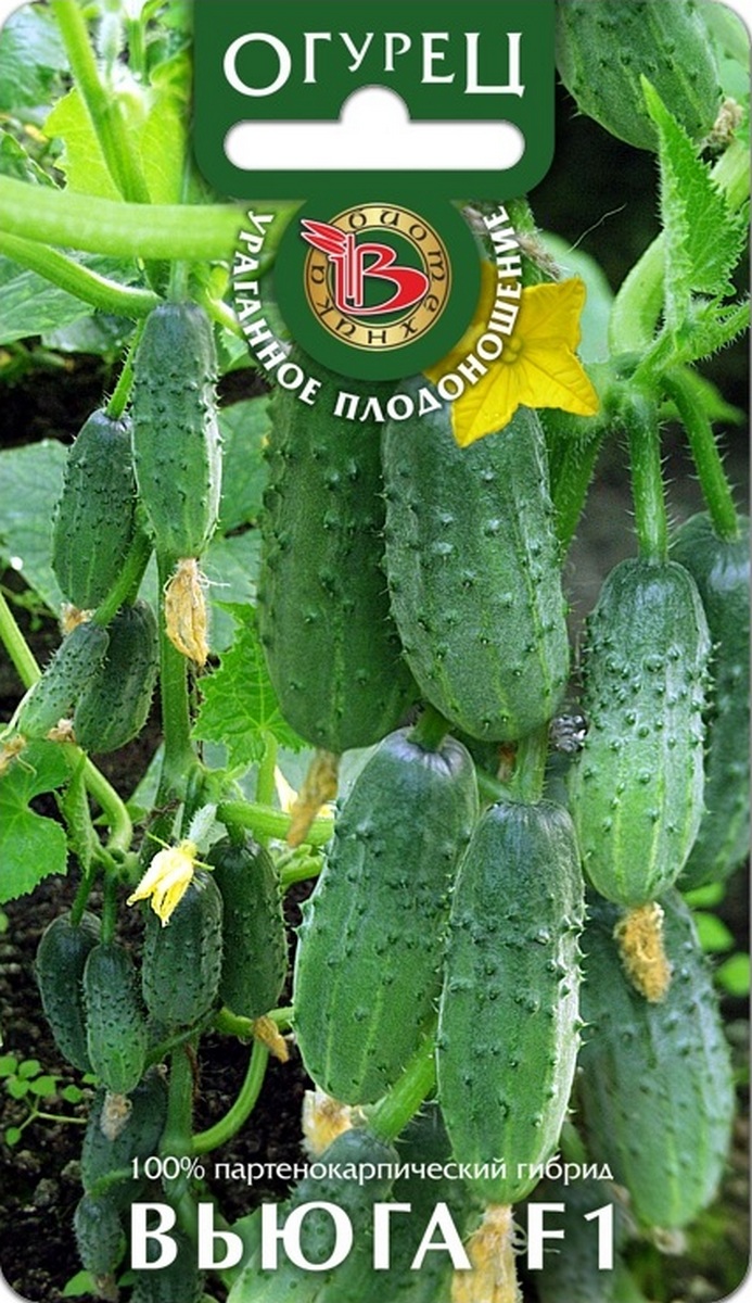 Огурец Вьюга F1, 8 шт. Биотехника