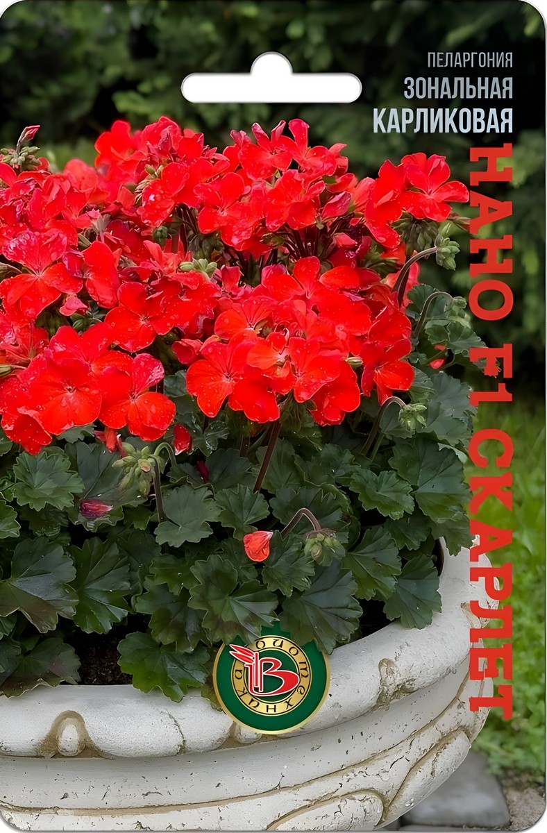 Пеларгония зональная карликовая Нано F1 Скарлет, 5 шт.