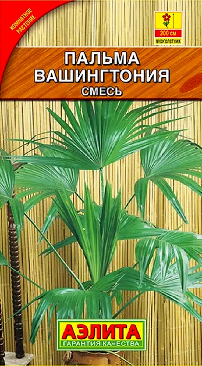 Пальма Вашингтония робуста, 2 шт.
