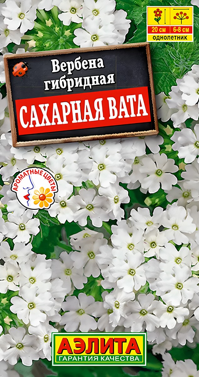 Вербена Сахарная вата, 20 шт.