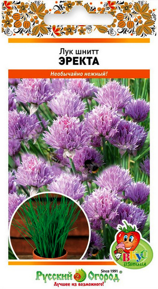 Лук Шнитт Эректа (Вкуснятина), 0,5 г Русский огород
