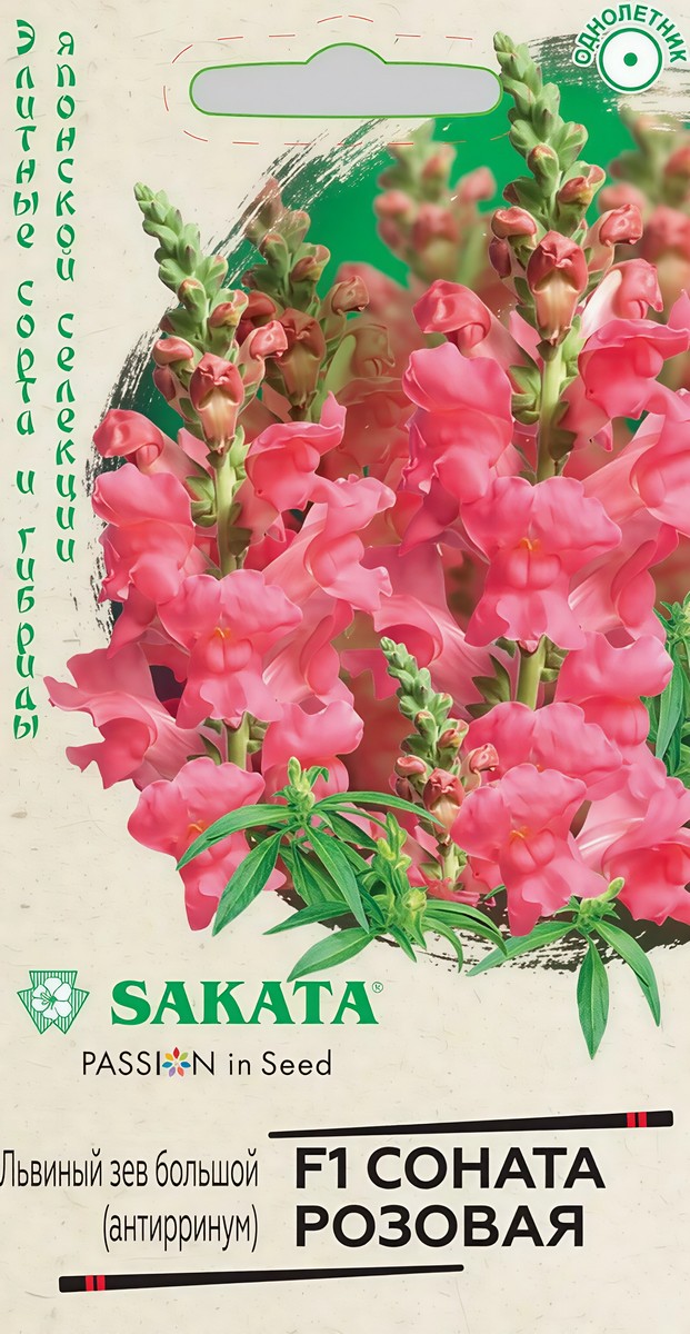 Антирринум (Львиный зев) Соната розовая F1, 7 шт. Саката