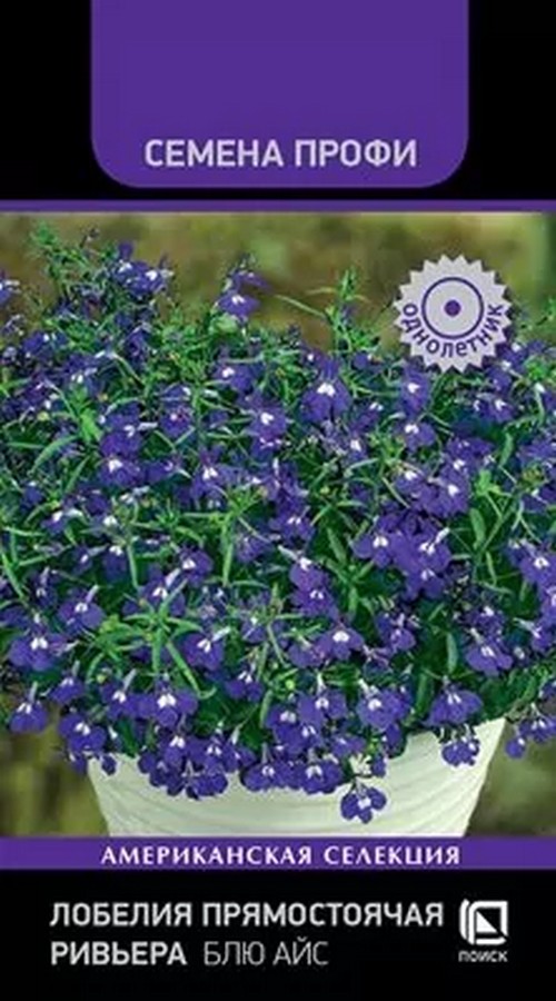 Лобелия прямостоячая Ривьера Блю Айс, Семена Профи, 10шт.