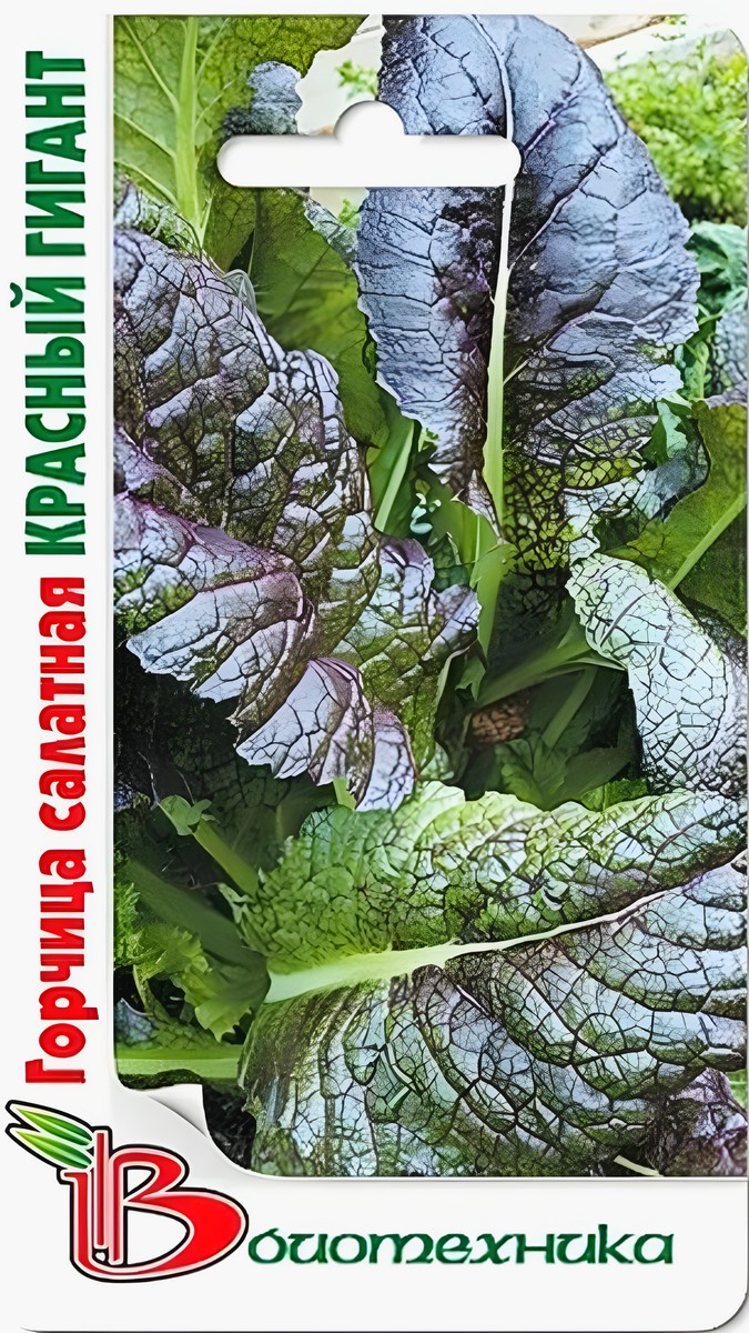 Горчица салатная Красный Гигант, 200 шт. Биотехника.