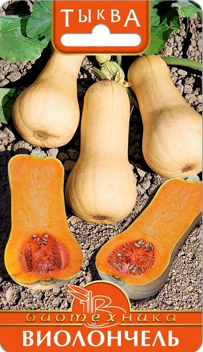 Тыква Виолончель, 6 шт. Биотехника