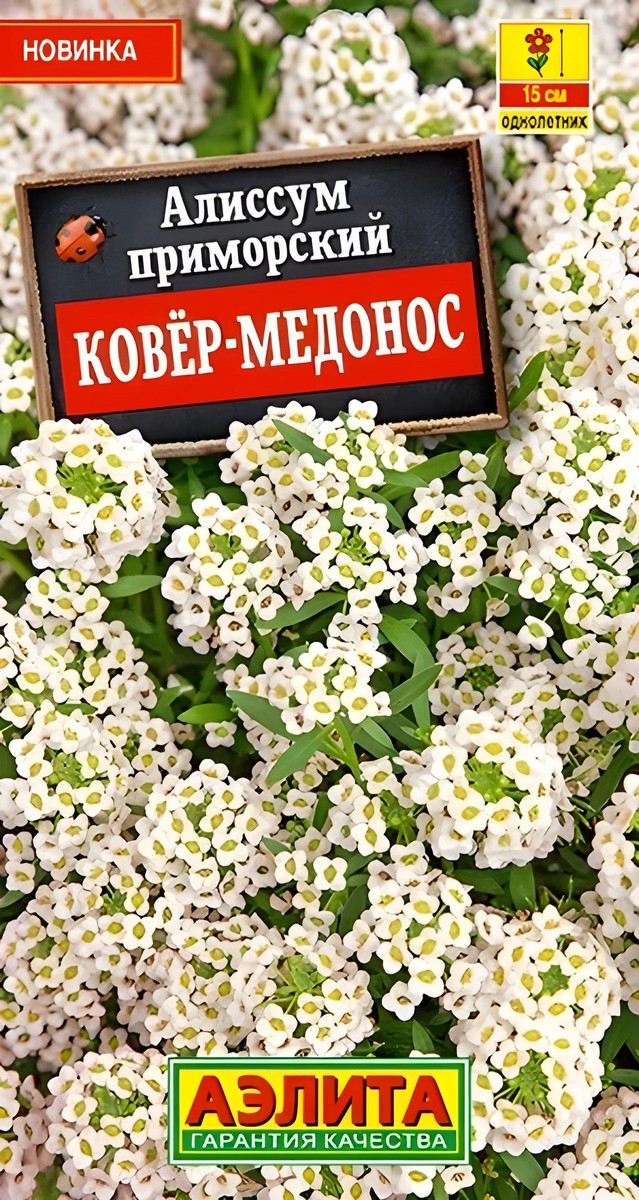 Алиссум Ковер-медонос, 0,1 г