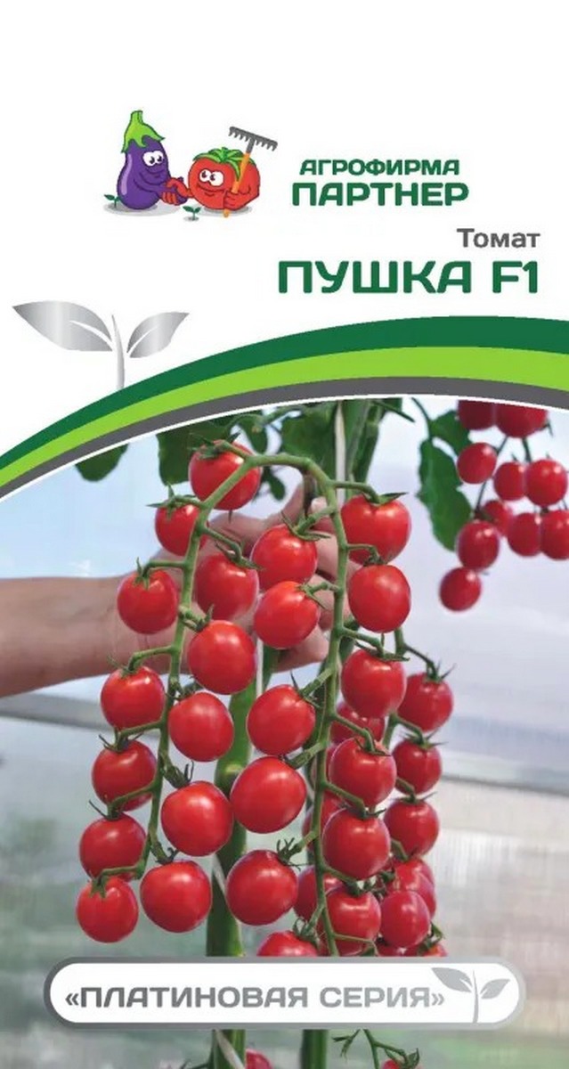 Томат Пушка F1, 5 шт. Платиновая.