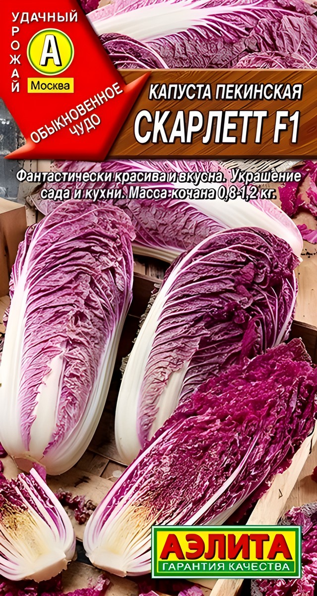 Капуста пекинская Скарлетт F1, 5 шт.