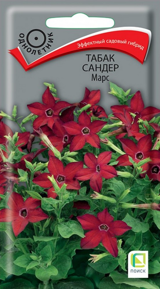 Табак Сандер F1 Авалон микс, Семена Профи 10шт.