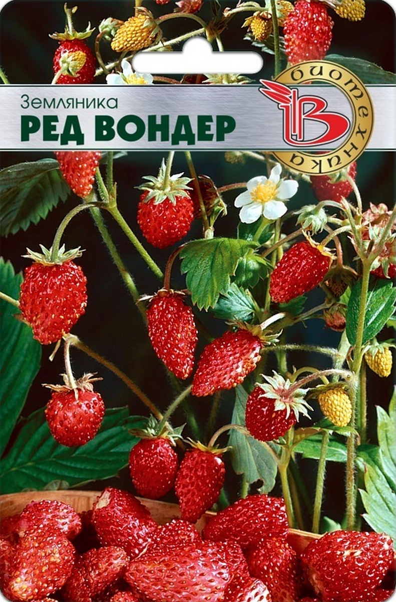 Земляника Ред Вондер, 60 шт. Биотехника