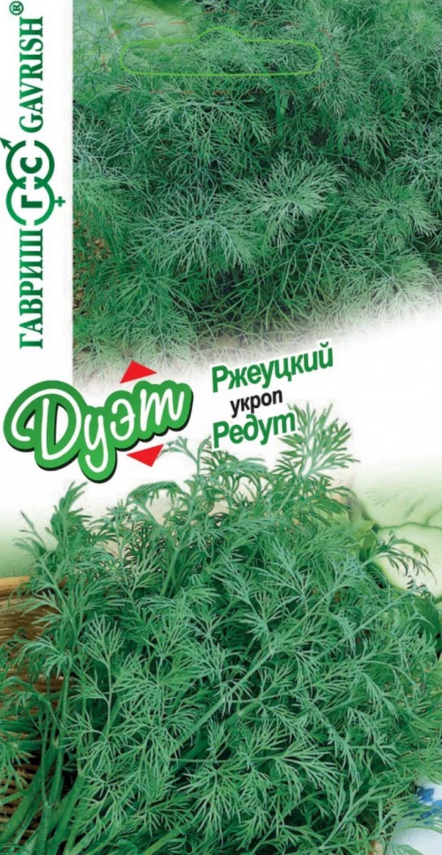 Укроп Редут, 2 г. + укроп Ржеуцкий, 2 г. Дуэт.