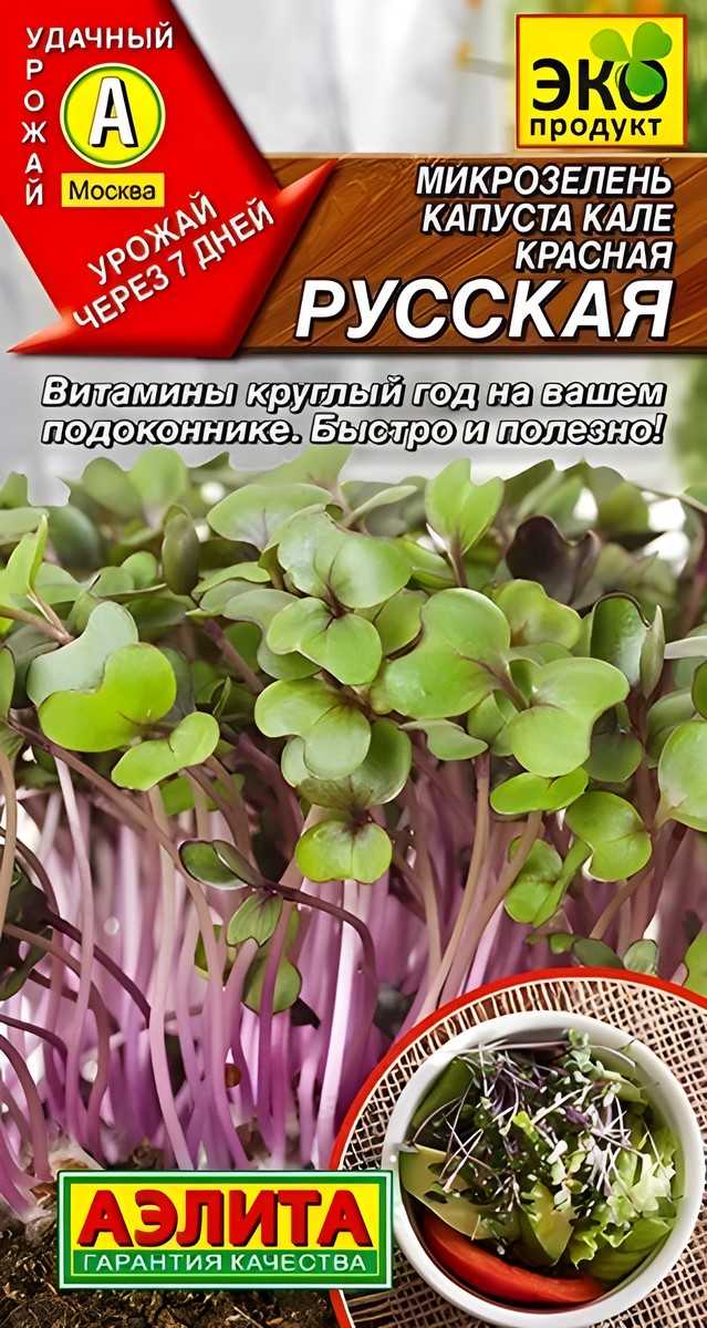 Микрозелень Капуста кале красная Русская, 3 г