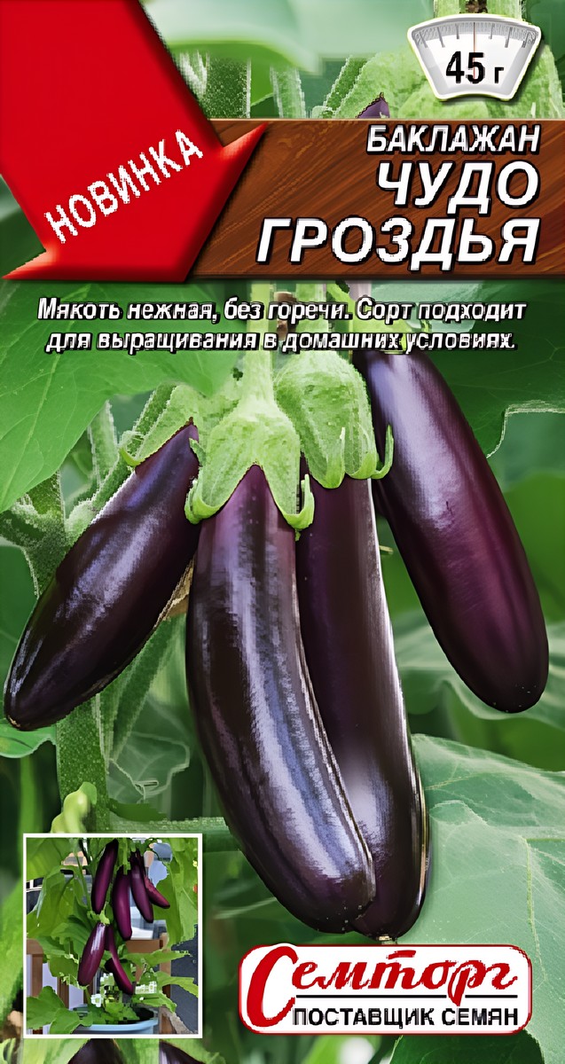 Баклажан Чудо гроздья, 10 шт.