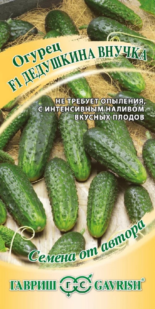 Огурец Дедушкина внучка F1, 10 шт. Авторские семена.