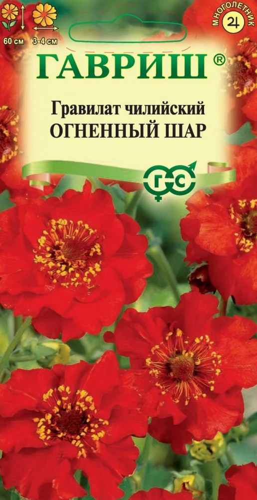 Гравилат чилийский Огненный шар, 0,1 г